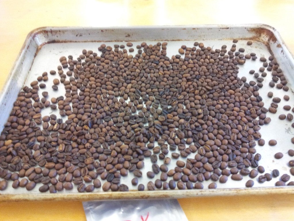 Fresh Roasted Coffee Beans