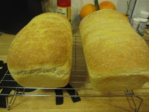 Anadama Bread