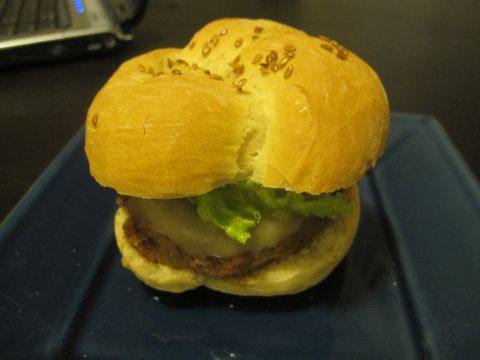 Bison Burger on Kaiser Roll