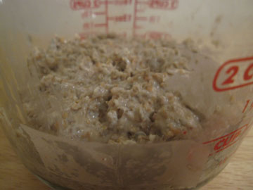 basicsourdough2.JPG