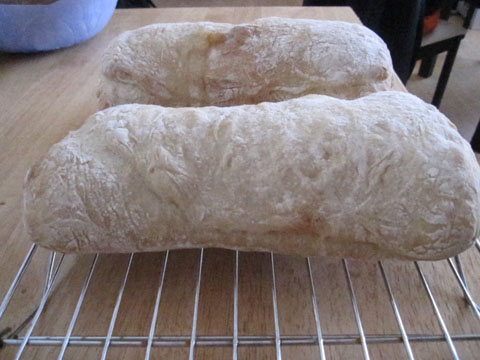 ciabatta1.jpg