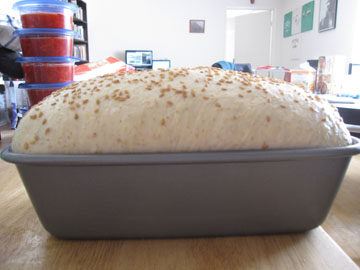 multigrain_risen.jpg