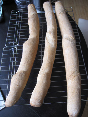 poolishbaguettes1.jpg